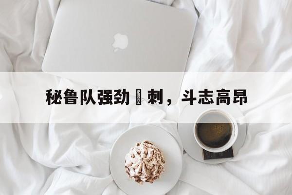 关于秘鲁队强劲衝刺，斗志高昂的信息